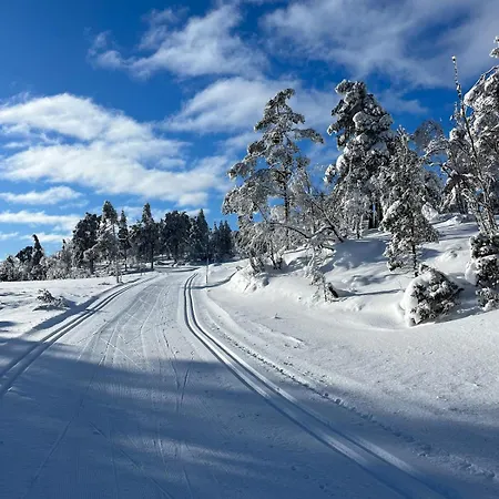 Feriehus Ruime All-season Toplocatie Met Magisch Uitzicht Moi (Hornnes)