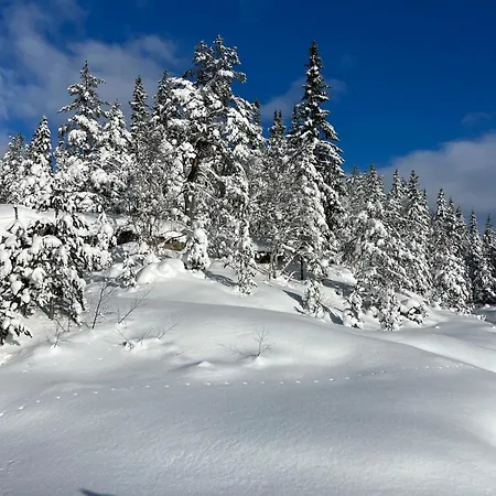 Ruime All-season Toplocatie Met Magisch Uitzicht Moi (Hornnes)